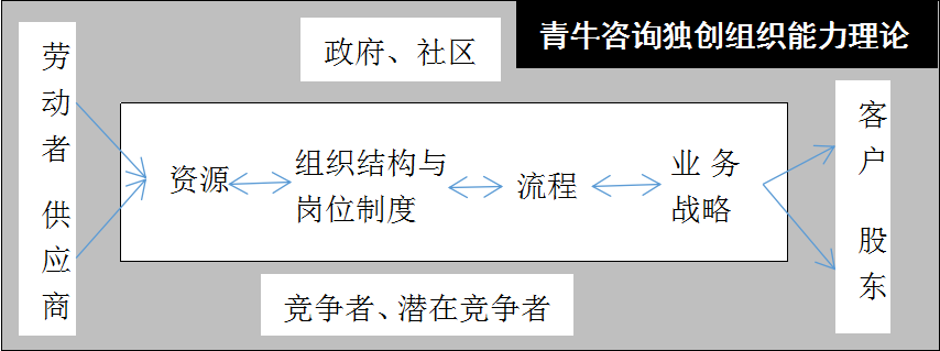 企业组织能力理论