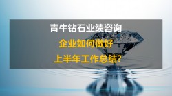 管理咨询公司研究成果：企业如何做好上半年工